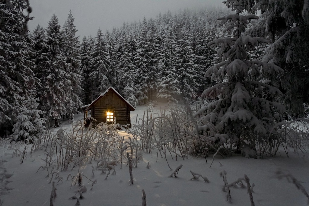 Cabaña en un bosque con una ventana encendida, rodeada de nieve.