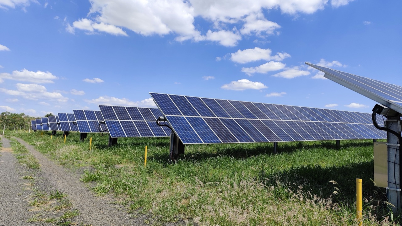 Campo de paneles solares generando electricidad a plena luz del día.